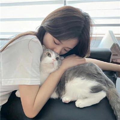 豺狼之吻